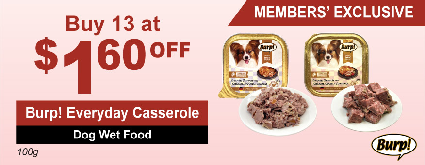 Burp! Everyday Casserole Dog Wet Food Promotion